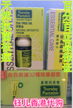 【星期四茶树】最新最全星期四茶树 产品参考信息