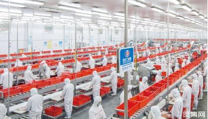 双汇集团发展历程与品牌价值 香港市场的视角